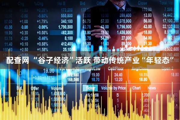 配查网 “谷子经济”活跃 带动传统产业“年轻态”