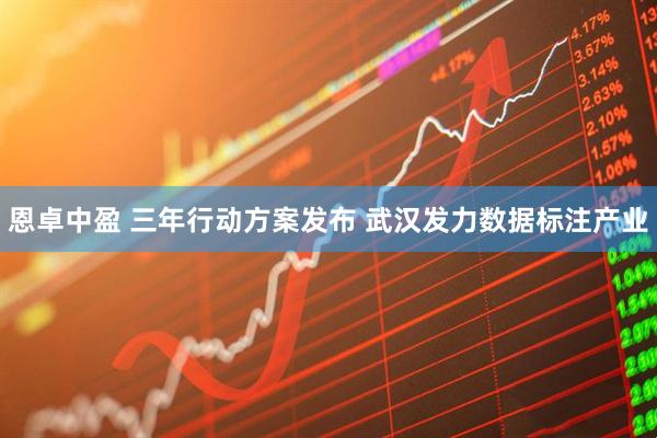 恩卓中盈 三年行动方案发布 武汉发力数据标注产业