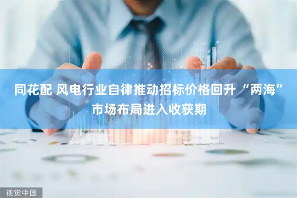 同花配 风电行业自律推动招标价格回升 “两海”市场布局进入收获期
