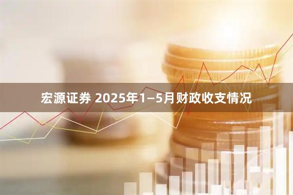宏源证券 2025年1—5月财政收支情况