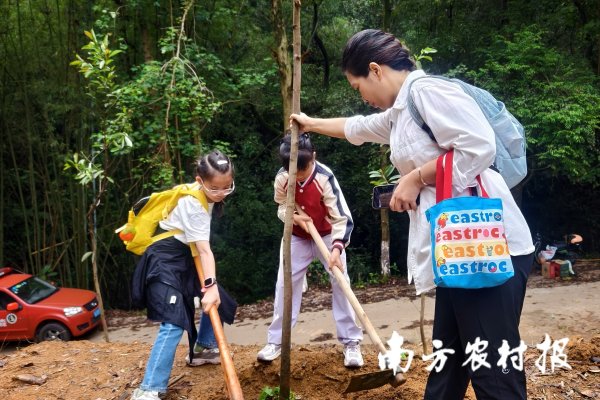 闻喜 人数、场次全国第一！广东植树造林蔚然成风