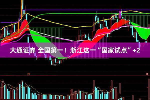 大通证券 全国第一！浙江这一“国家试点”+2