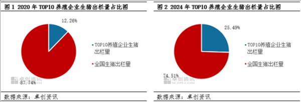 涵星配资 卓创资讯：集中度与产能提升 生猪养殖成本线能否被触及？