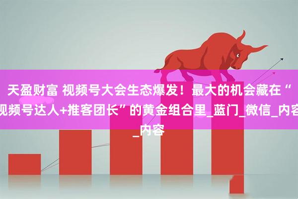 天盈财富 视频号大会生态爆发！最大的机会藏在“视频号达人+推客团长”的黄金组合里_蓝门_微信_内容