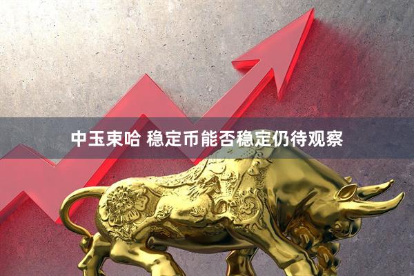 中玉束哈 稳定币能否稳定仍待观察