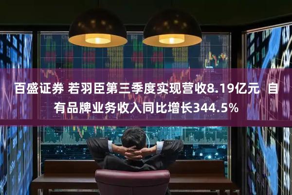 百盛证券 若羽臣第三季度实现营收8.19亿元 自有品牌业务收入同比增长344.5%